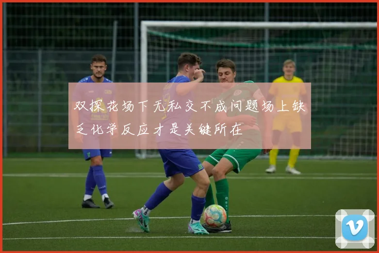 双探花场下无私交不成问题场上缺乏化学反应才是关键所在