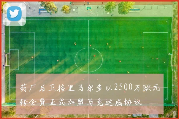 药厂后卫格里马尔多以2500万欧元转会费正式加盟马竞达成协议