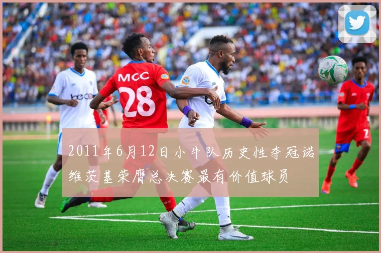 2011年6月12日小牛队历史性夺冠诺维茨基荣膺总决赛最有价值球员