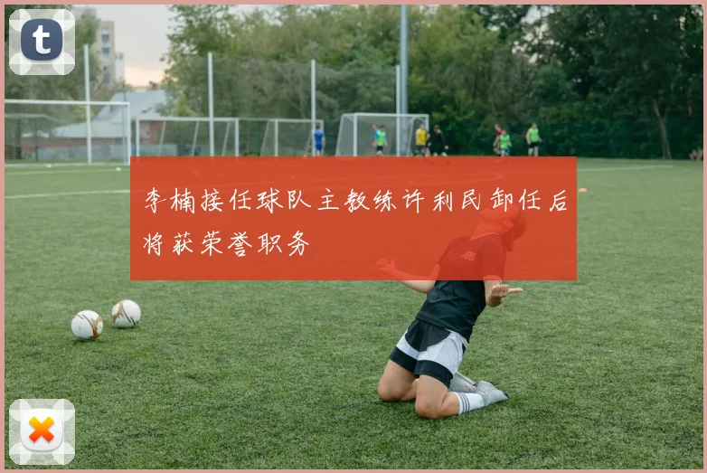 李楠接任球队主教练许利民卸任后将获荣誉职务